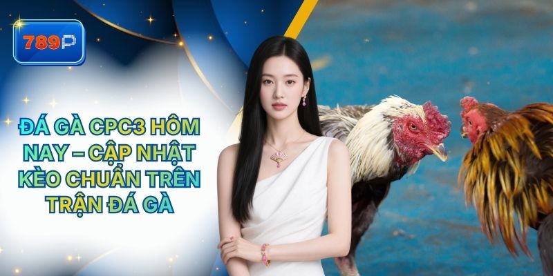 Đá Gà Cpc3 Hôm Nay – Cập Nhật Kèo Chuẩn Trên Trận Đá Gà 789P